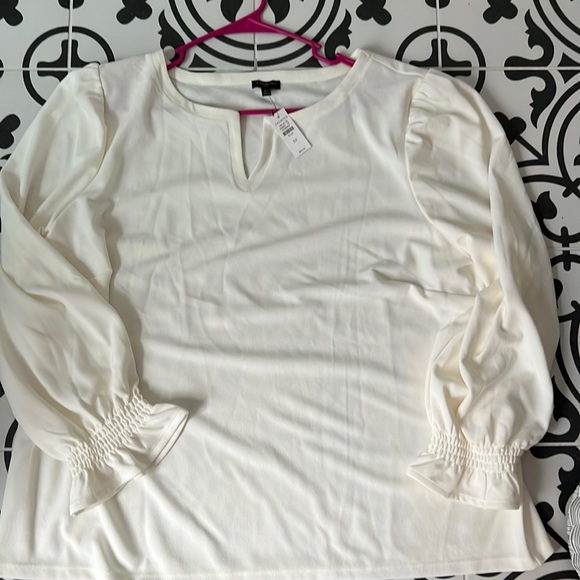 NWT TALBOTS 3X women’s cream colored dressy blouse. Gorgeous - Picture 2 of 8